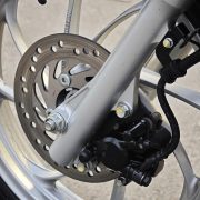 IMG_1767444928108_1767445002019 IMG_1767444928108_1767445002019