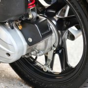 IMG_1768314147573_1768314198424