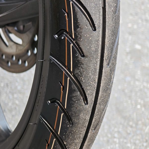 IMG_1768405162795_1768405207133 IMG_1768405162795_1768405207133